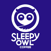 Sleepy Owl